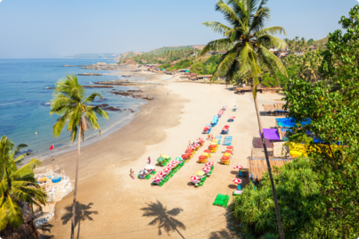 Goa